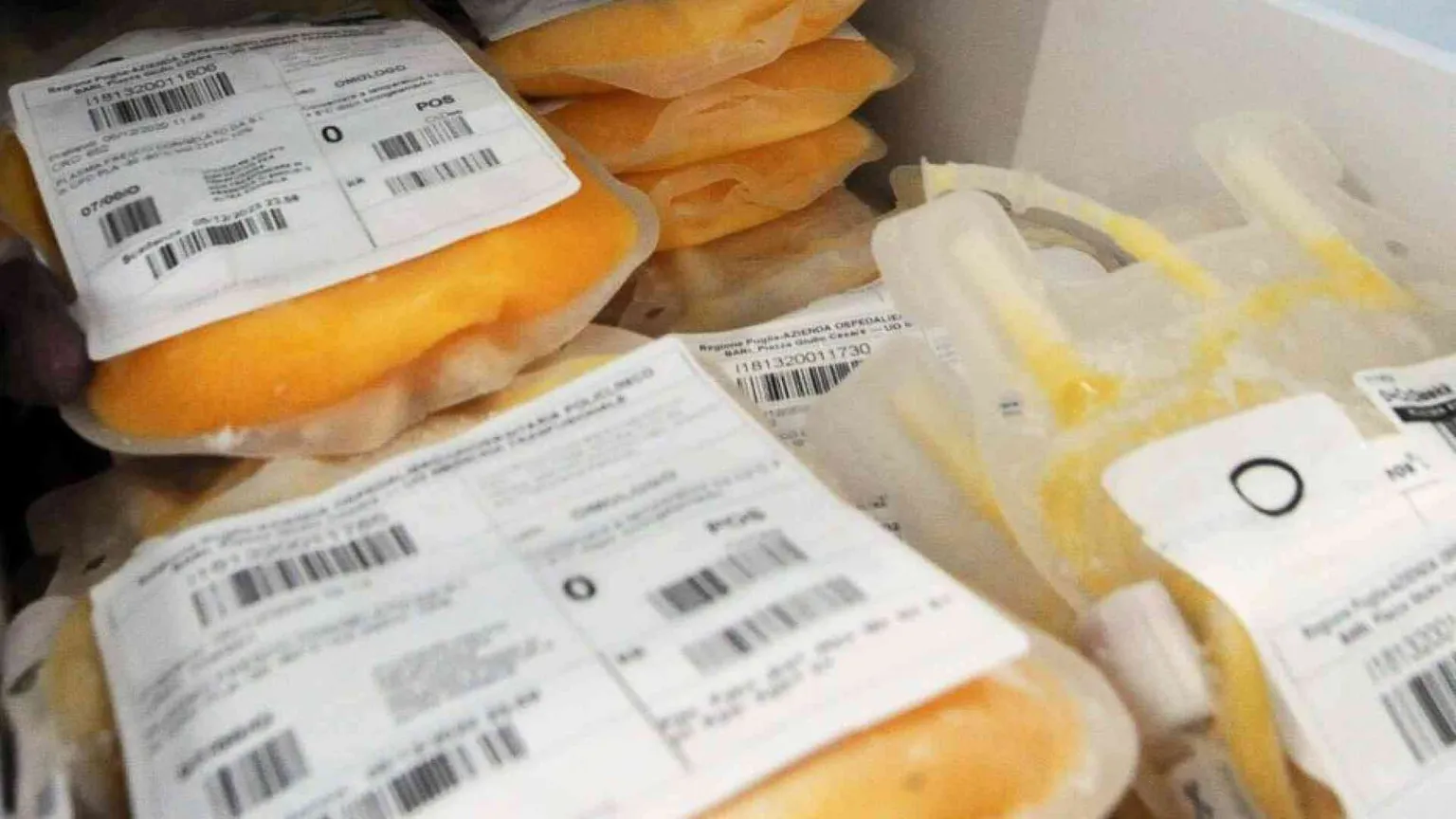 Sangue: record storico di donazioni. E allora perché c'è carenza di plasma?