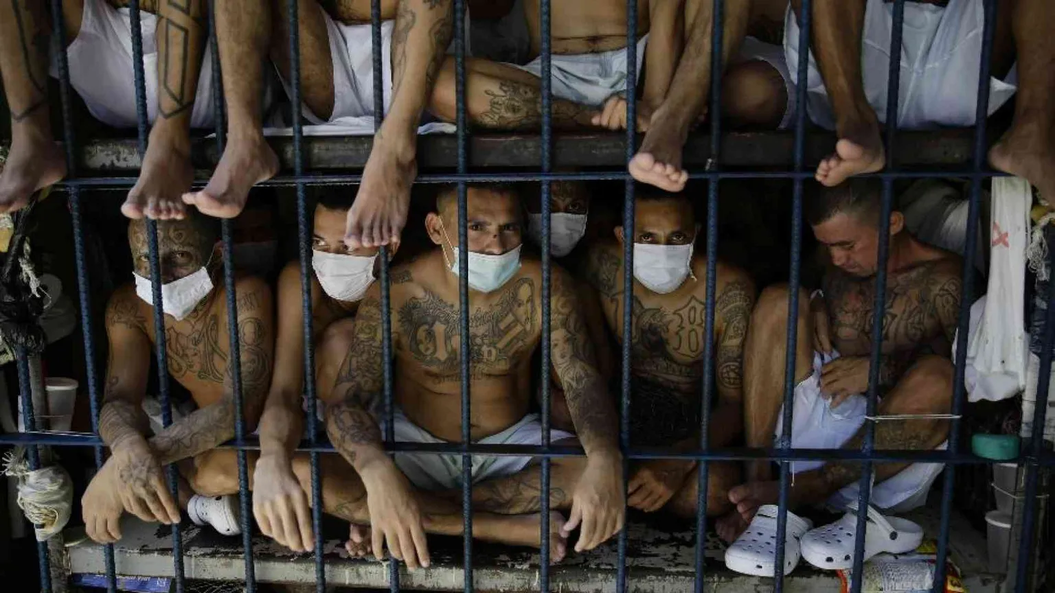 Denuncia delle ong all'Onu: 327 casi di sparizioni forzate in 2 anni