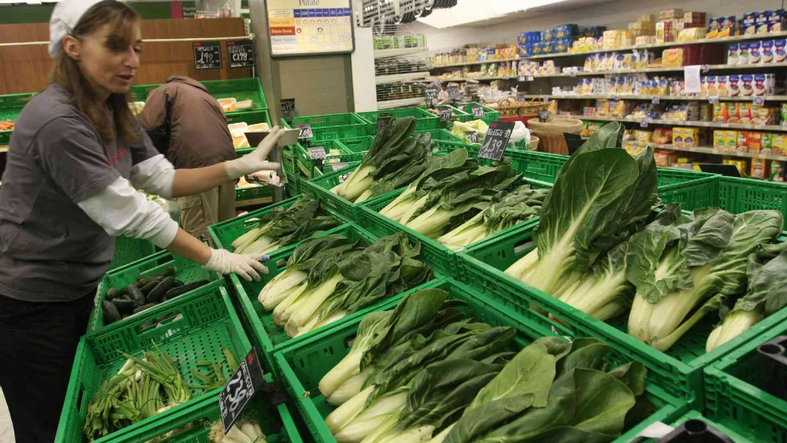 Così micro e nanoplastiche entrano nelle nostre insalate