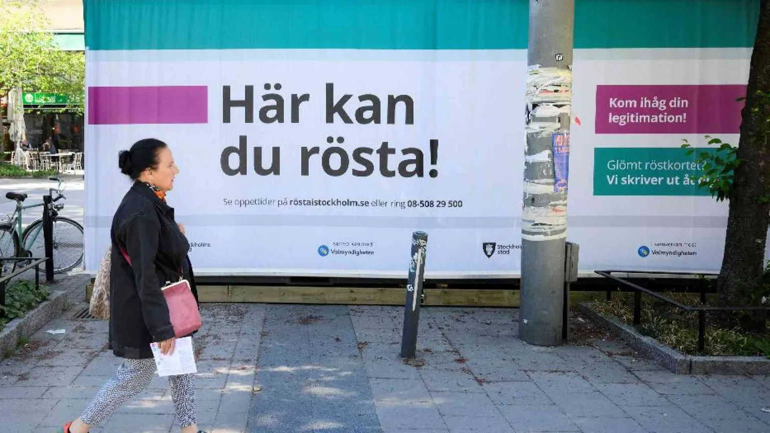 Destinati a donare gli organi, se “inutili” e senza figli: distopia del futuro