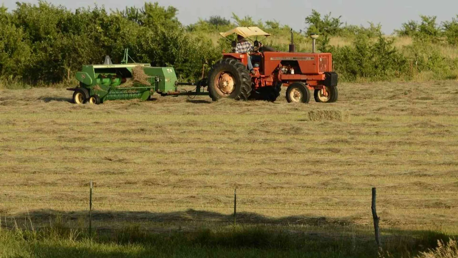 Campi e biodiversità: che cosa c'è nei programmi dei partiti