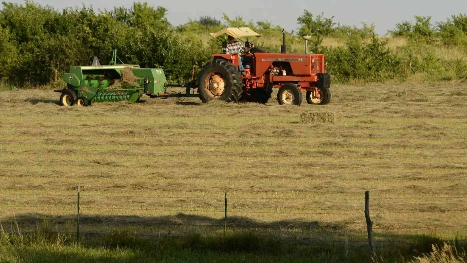 Dalla pace all'ambiente fino al lavoro: i programmi per l'Europa