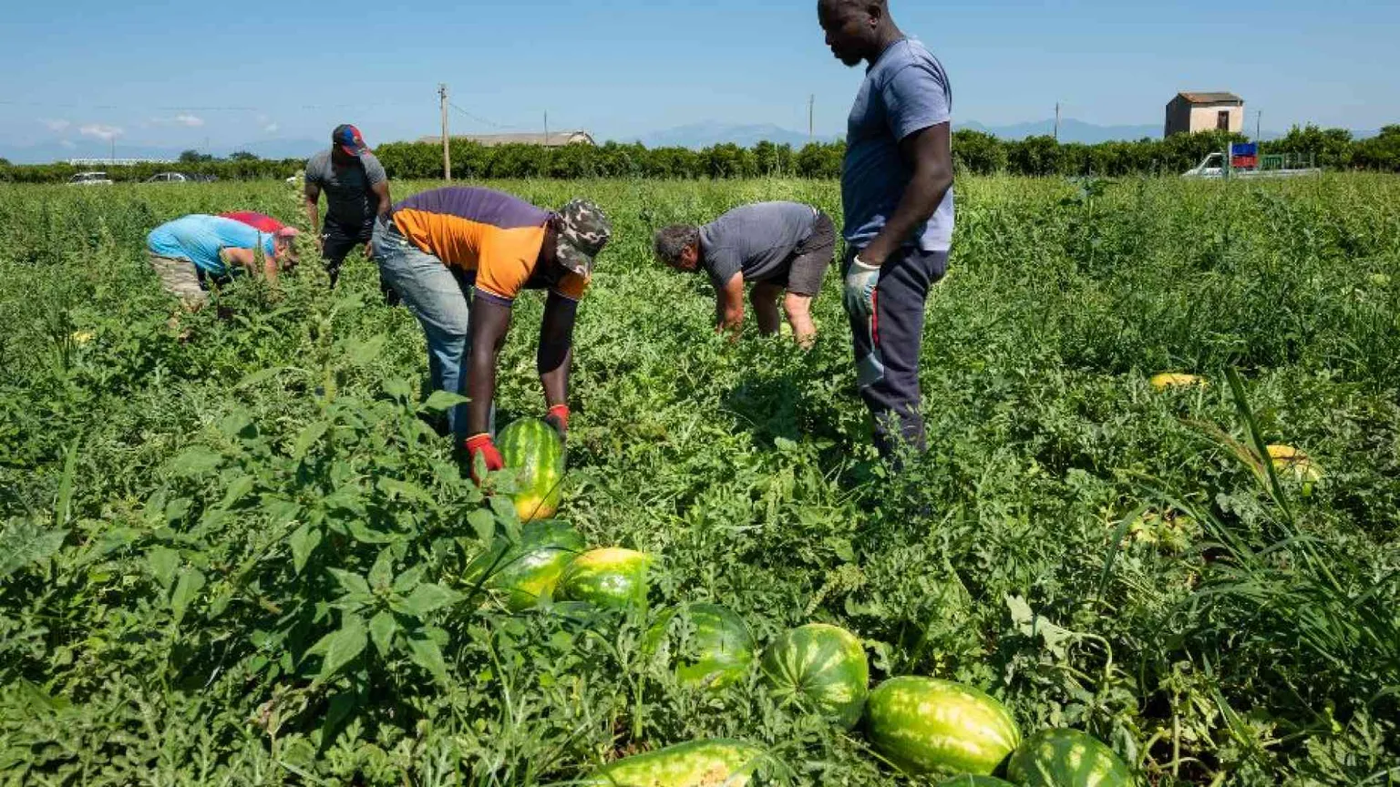 Caporalato, più inchieste al Centro Nord. Tra gli sfruttati anche gli italiani