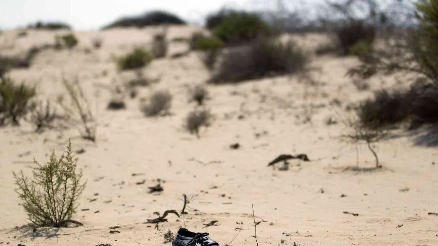 Il video choc girato nel deserto: «Decine di morti tra Egitto e Libia»