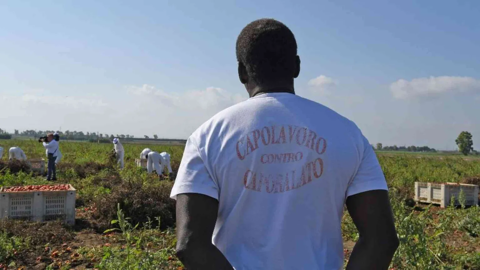 Nei campi dell'Agro Pontino c'è un esercito di lavoratori fantasma