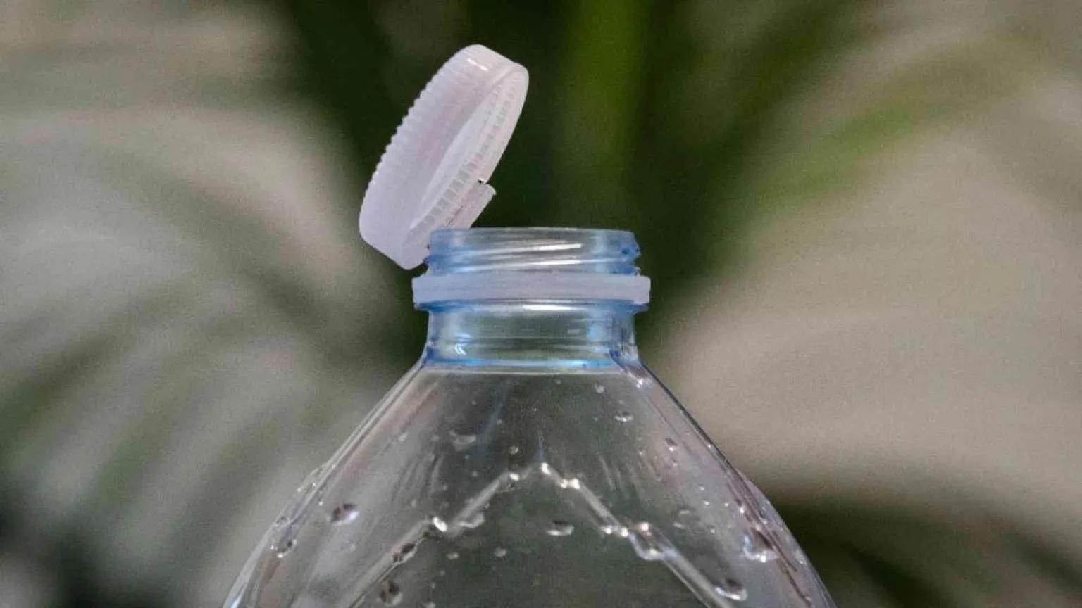 La direttiva europea (che fa litigare) sui tappi di plastica