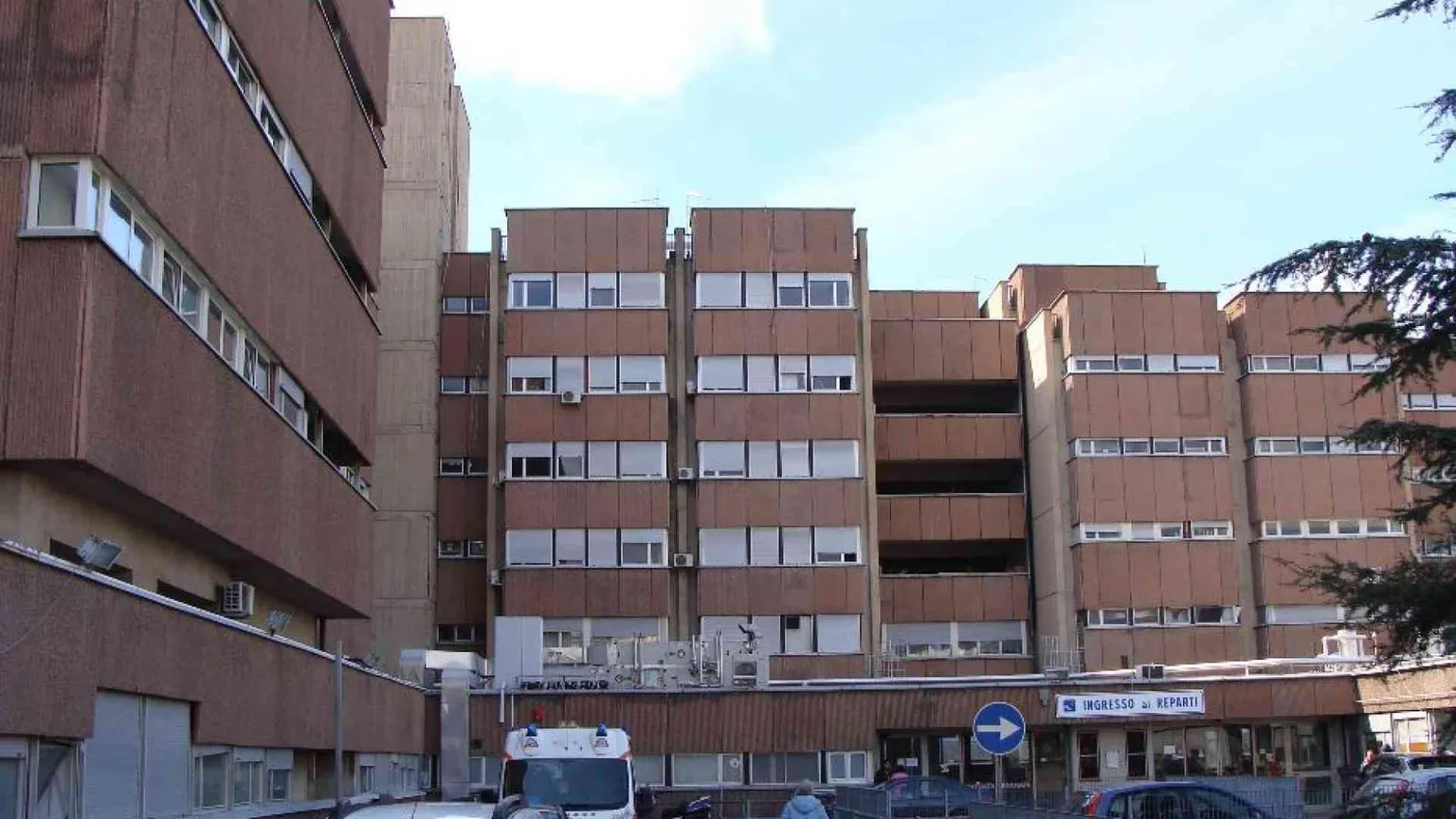 Trovati due feti morti, 24enne indagata per duplice infanticidio