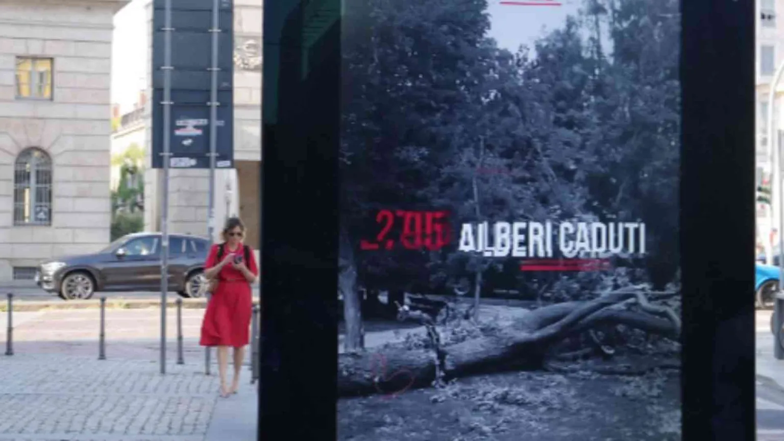 Un anno dopo la tempesta Milano ha “ritrovato” 5mila alberi