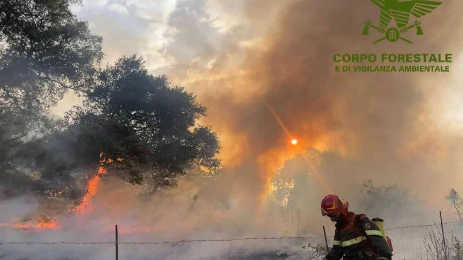 Le fiamme hanno distrutto 800 ettari di bosco nel Nuorese