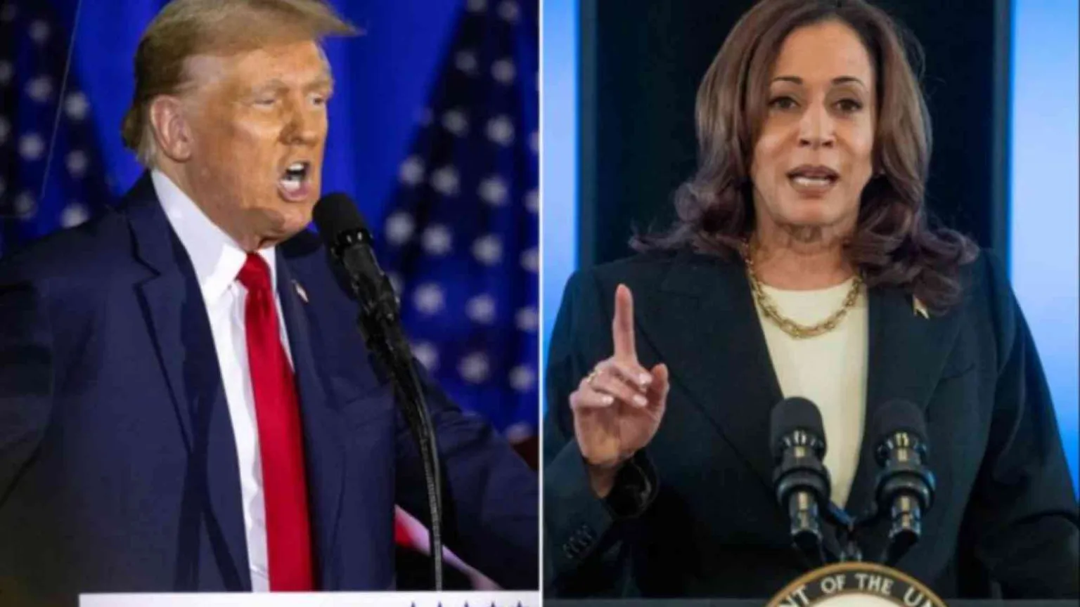 Trump per risalire punta sulle "fake"