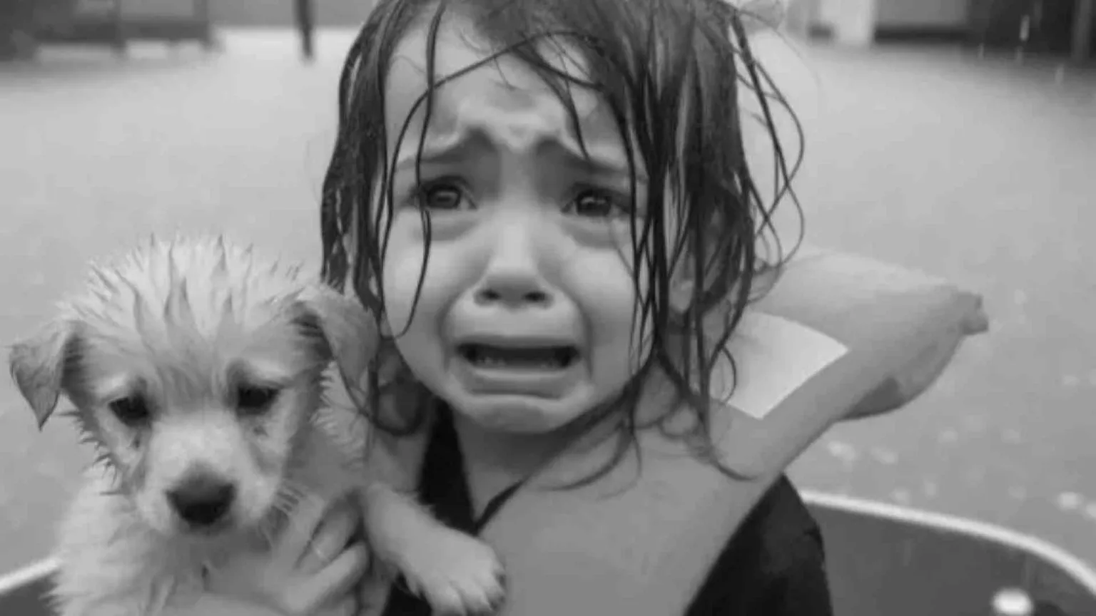 Bella storia, brutta bufala: la foto (falsa) della bambina vittima di Helen