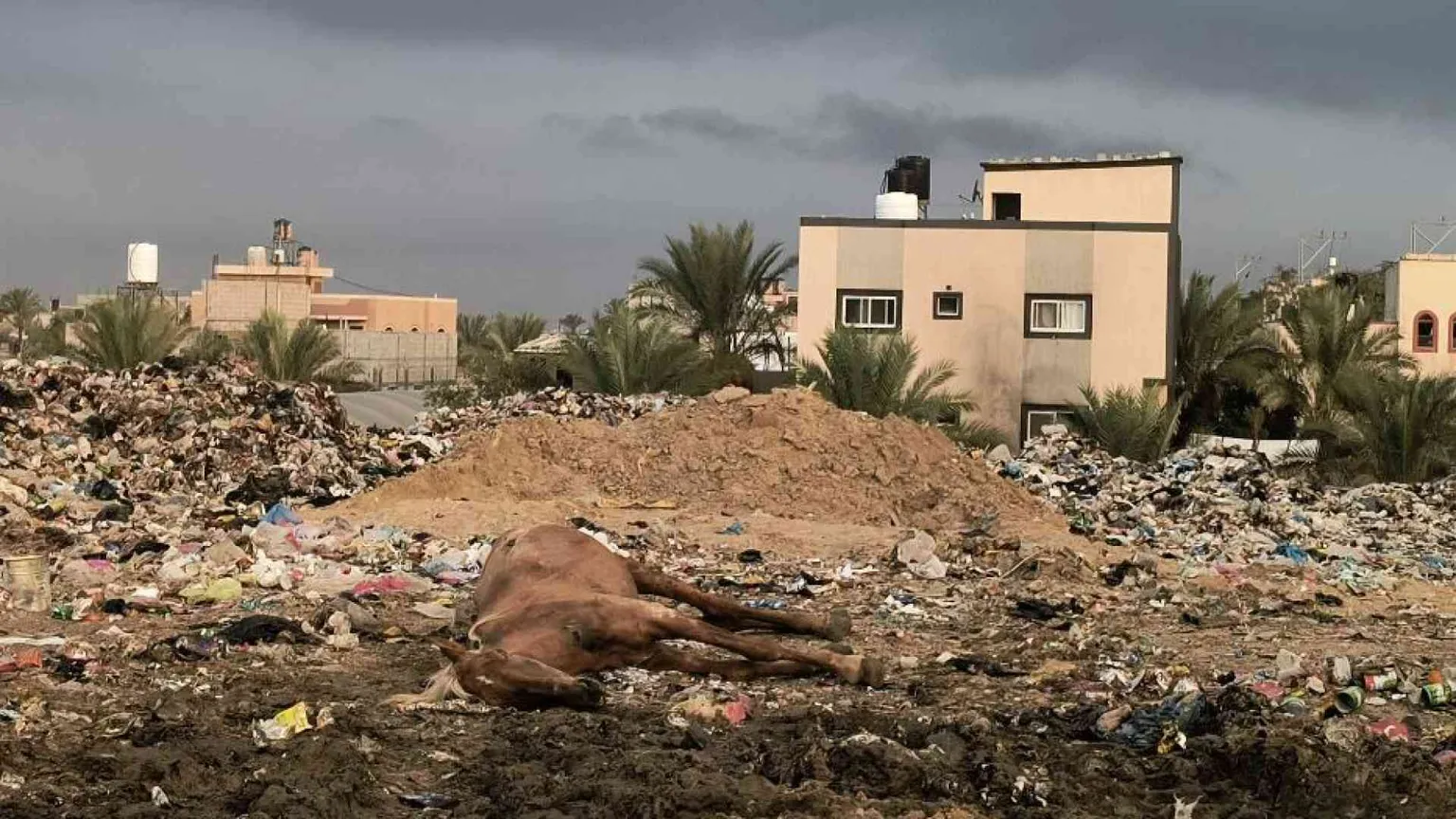 «Gaza è sommersa di rifiuti. Anche ospedalieri»