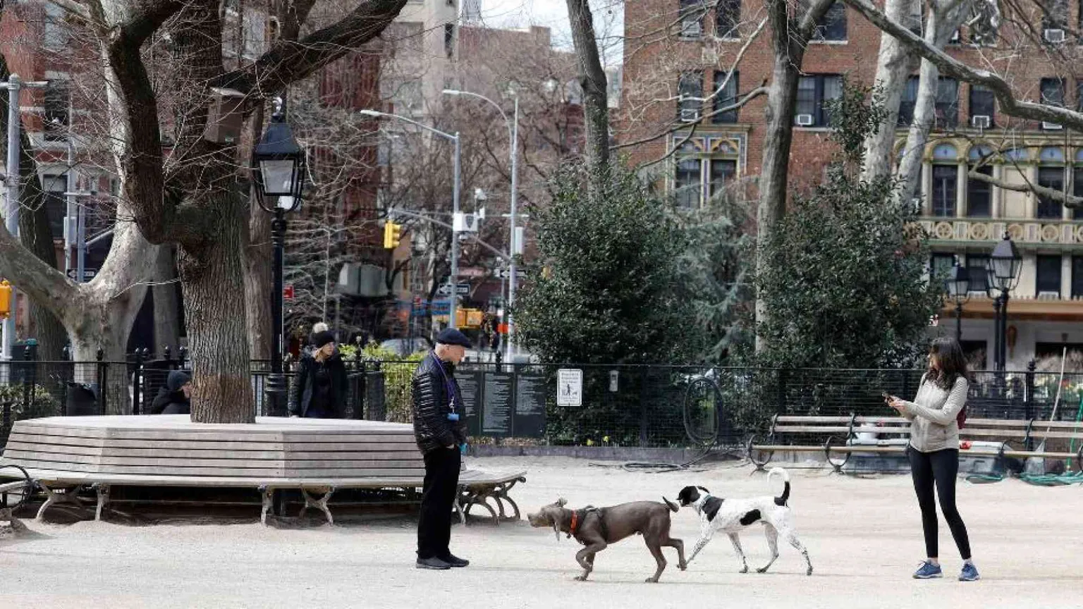 Proposto a New York il congedo per malattia dell'animale domestico
