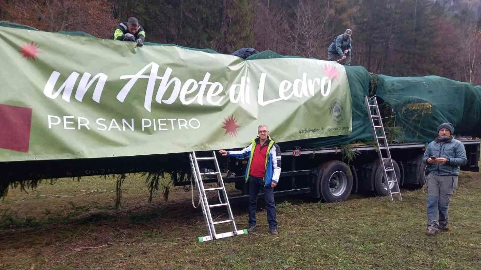 La vera storia dell'abete di Natale per piazza San Pietro