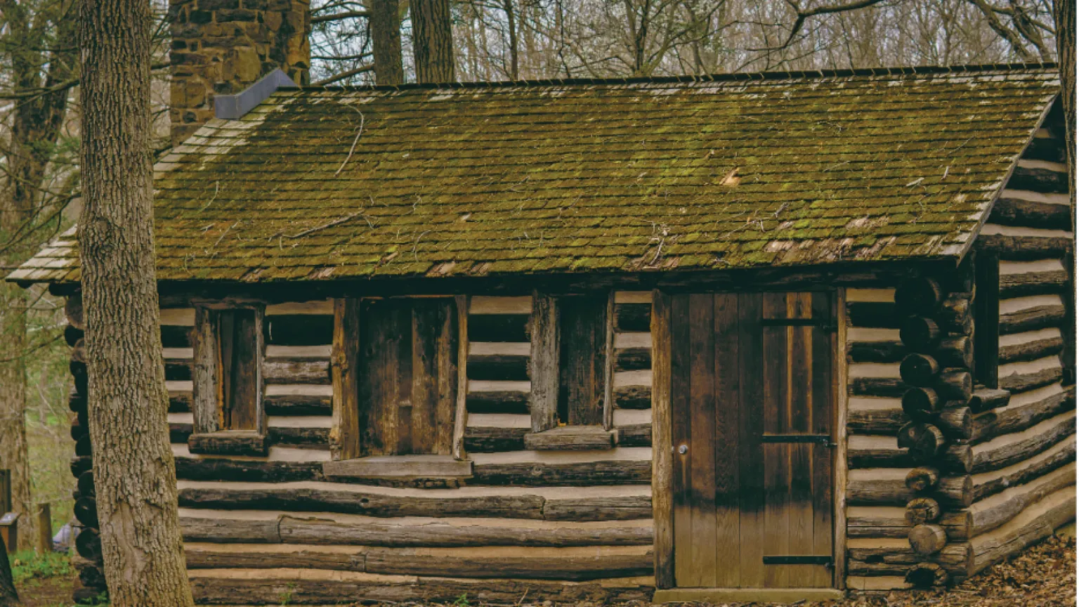 Will Jones: «Così mi sono costruito una casa nel bosco»