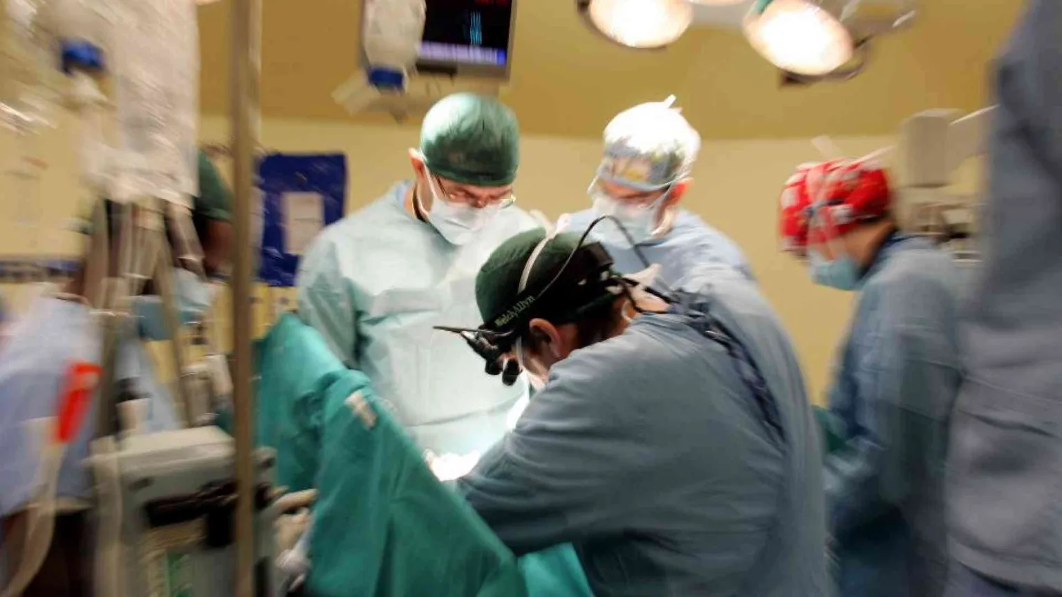 Nel 2024 record di organi donati. «Ma tra i giovani troppi dinieghi»