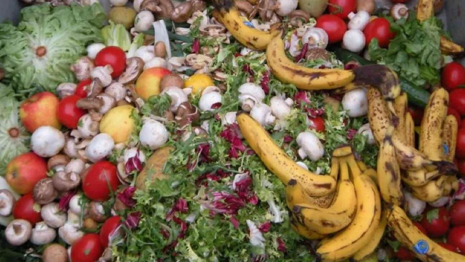 Lo spreco a tavola continua a crescere. E sono i più poveri a buttare più cibo