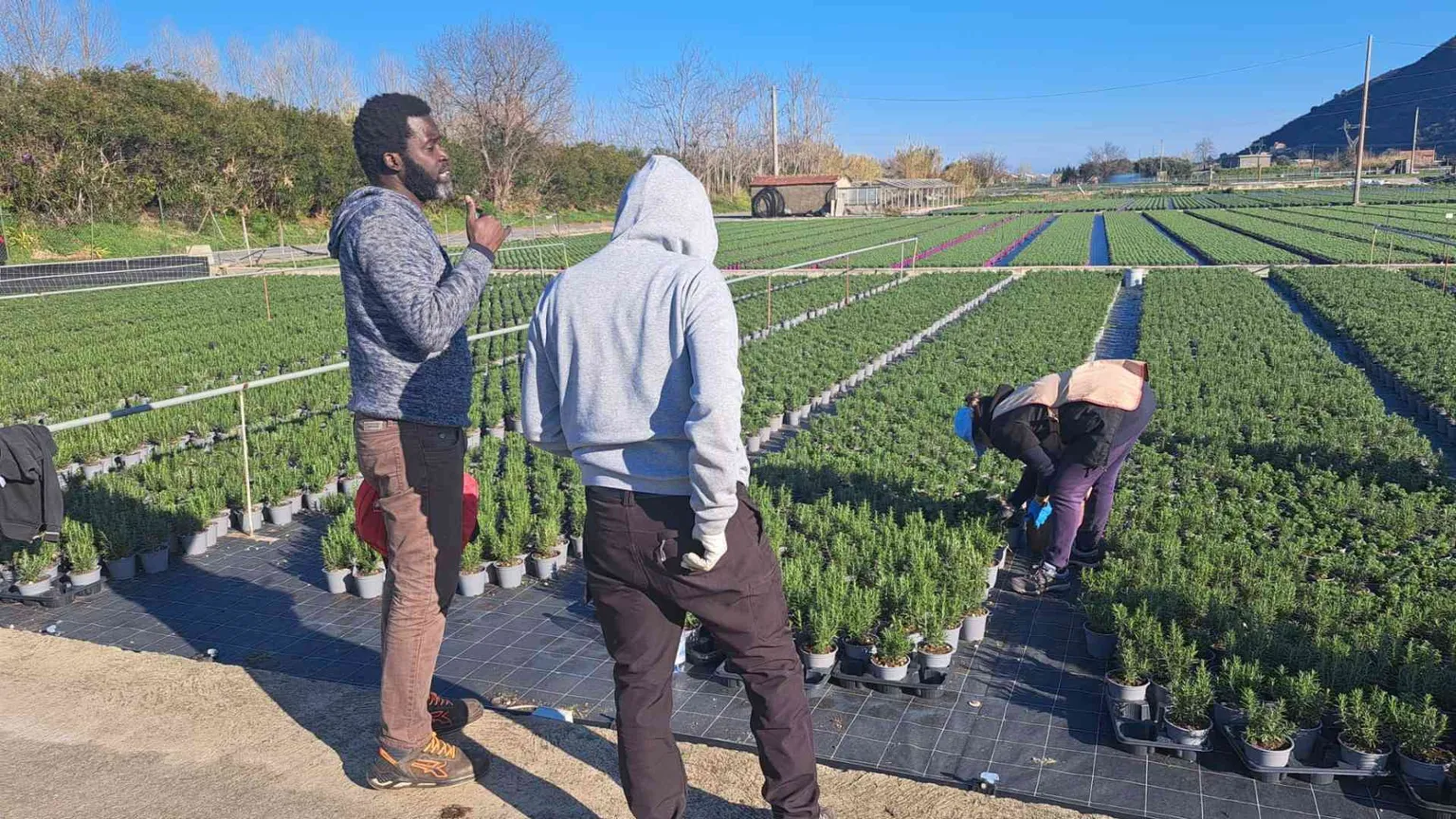 Un sindacalista tra gli sfruttati. «Nei campi raccolgo le loro denunce»