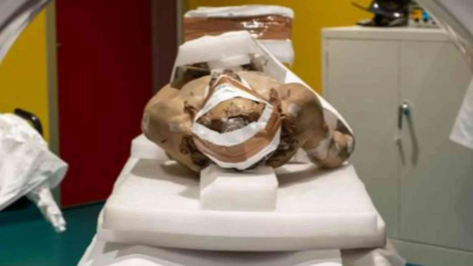 Come la radiologia può salvare anche le belle arti