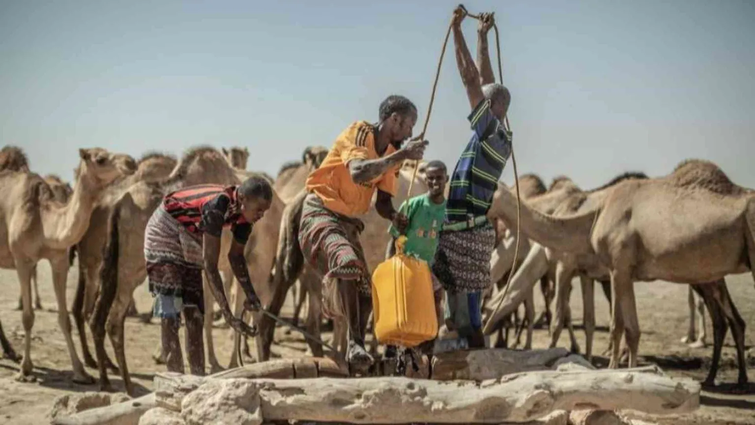 L'allarme Onu: record di profughi climatici nel 2024