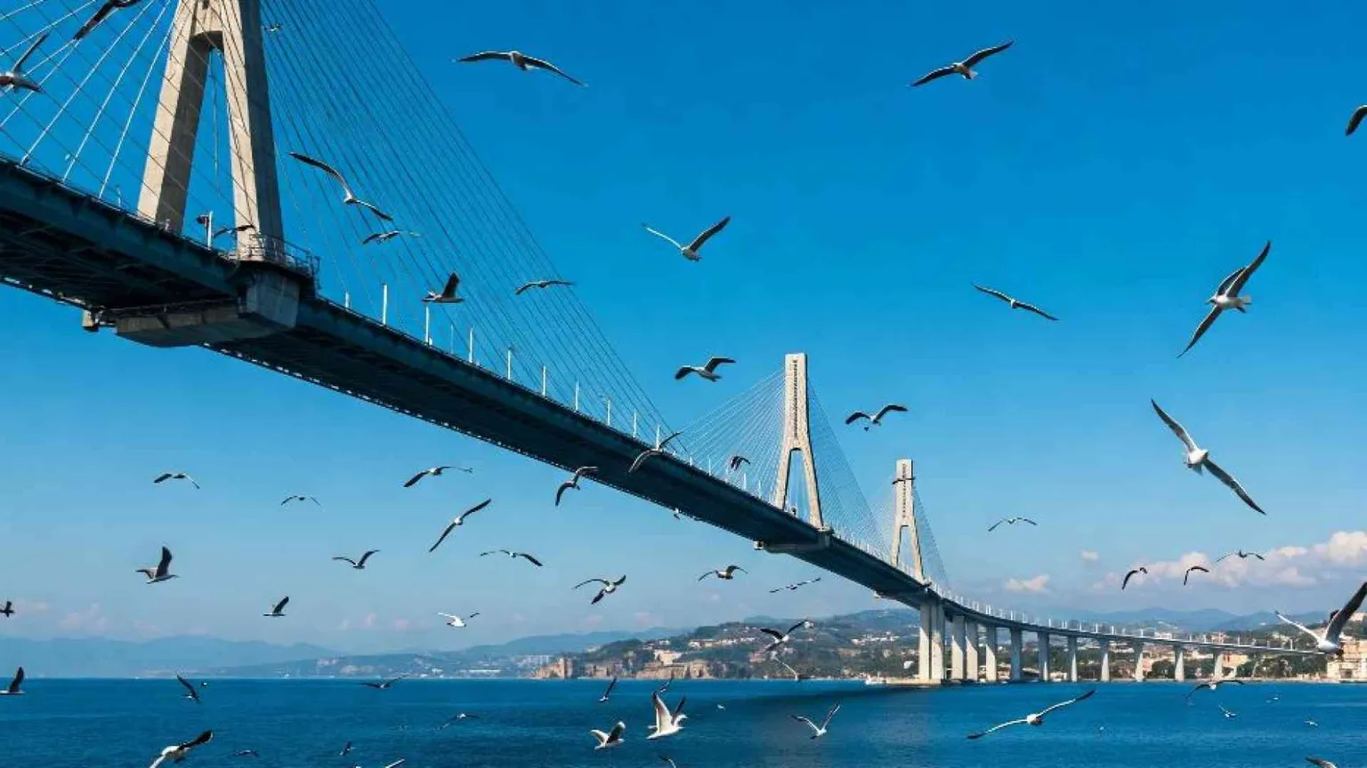 «Contro il ponte sullo Stretto tre azioni legali per il bene d'Italia»