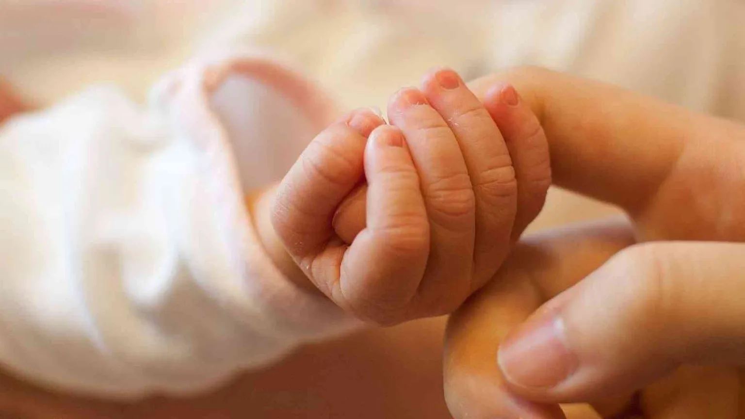 Perché serve una "pastorale della vita". E come si fa