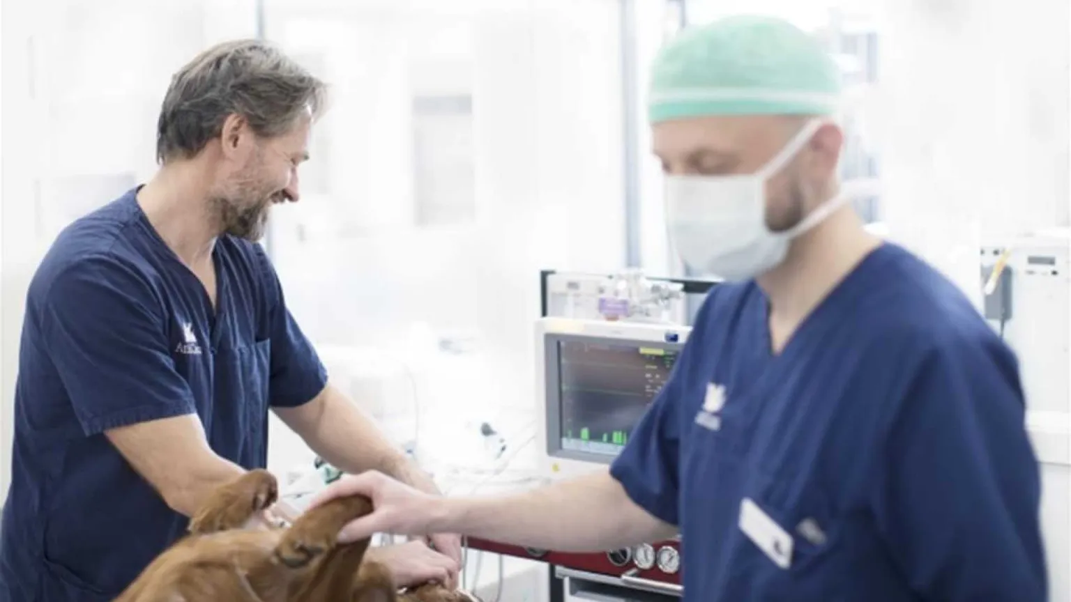 Tecnici veterinari, sono oltre 5mila in Italia