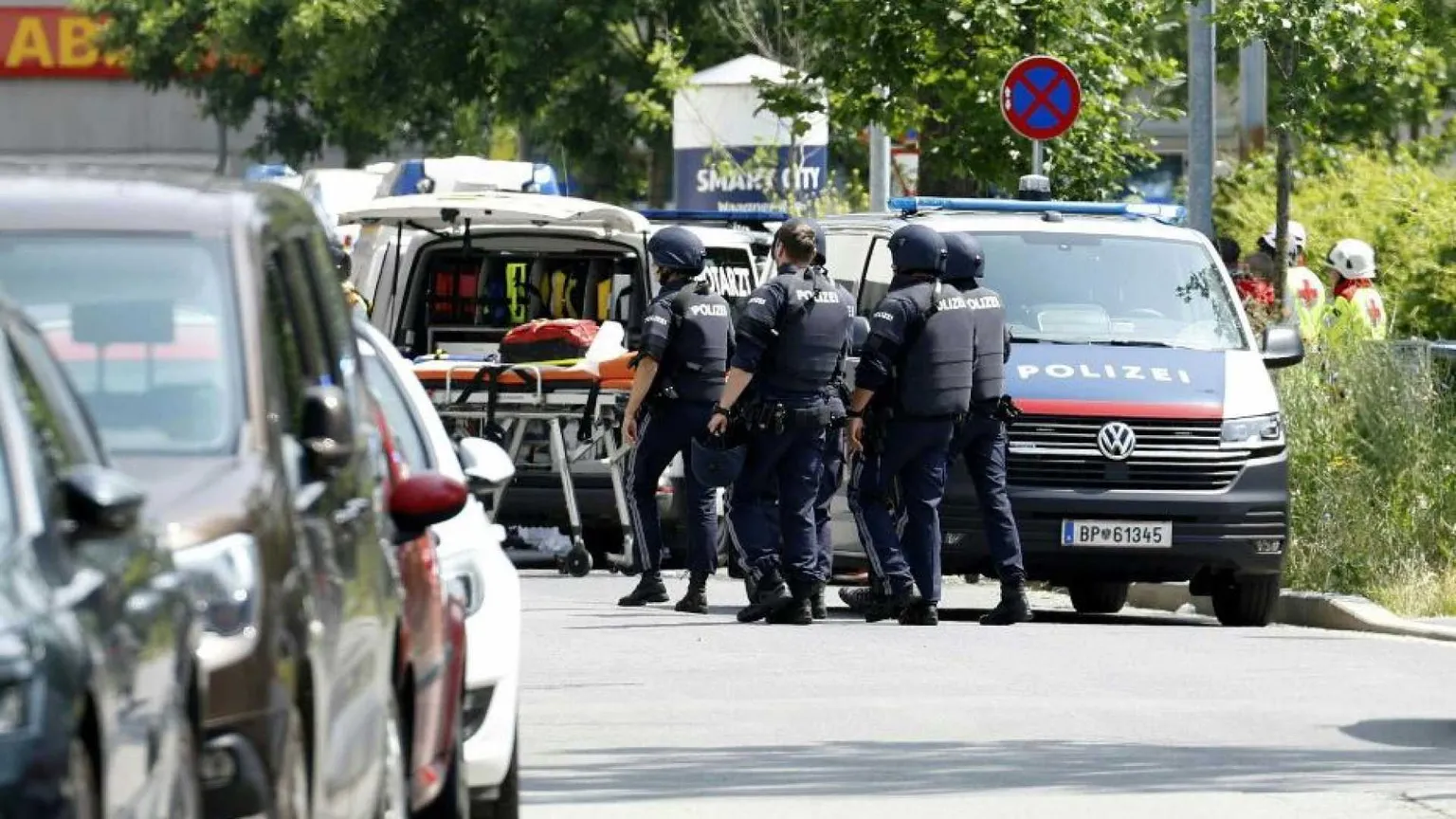 Austria choc, ex studente spara a scuola e fa strage: dieci le vittime