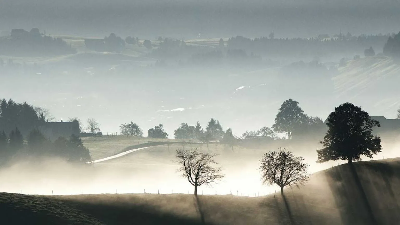 Così gli alberi segnano il tempo e risvegliano la nostra immaginazione