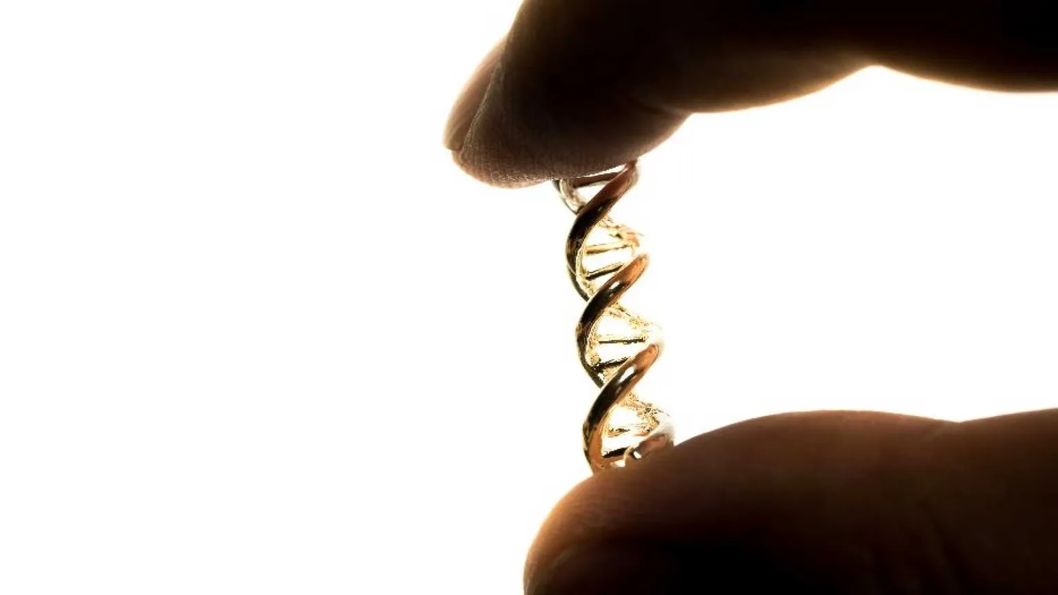 Bioetica e teologia morale, dialogo sulle sfide dell’umano