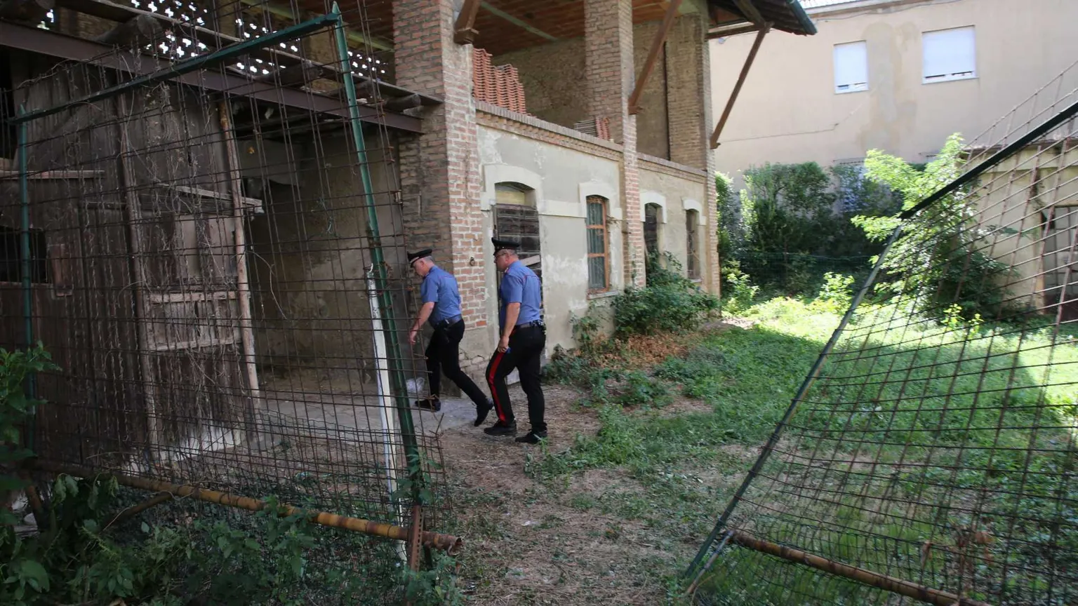 Geraldine, Ramona, Raisa: le donne continuano ad essere uccise