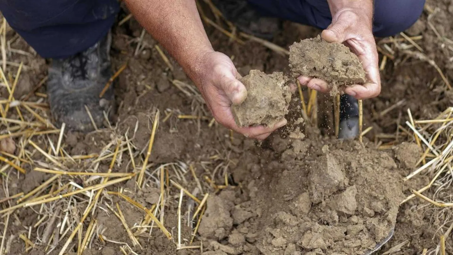 È l'Overshoot day: abbiamo consumato tutte le risorse naturali dell'anno