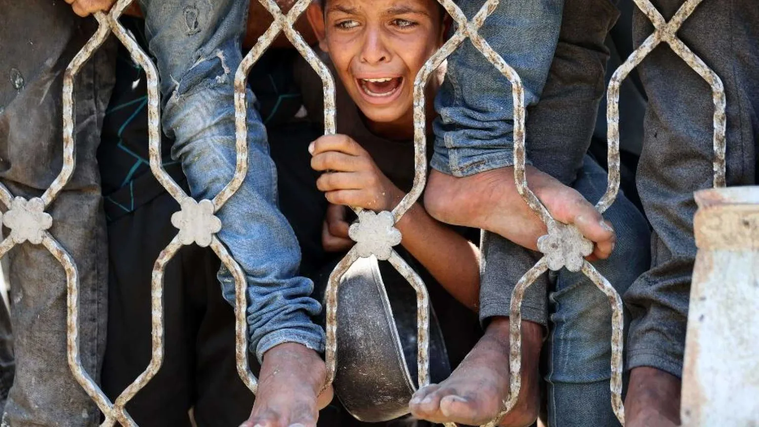 Per la prima volta le Ong israeliane accusano Israele di genocidio