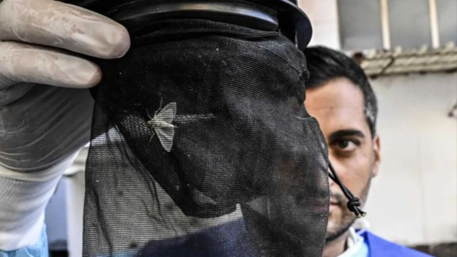 Vaia: «Sul West Nile nessun allarme. Pandemie, che errore isolarci»