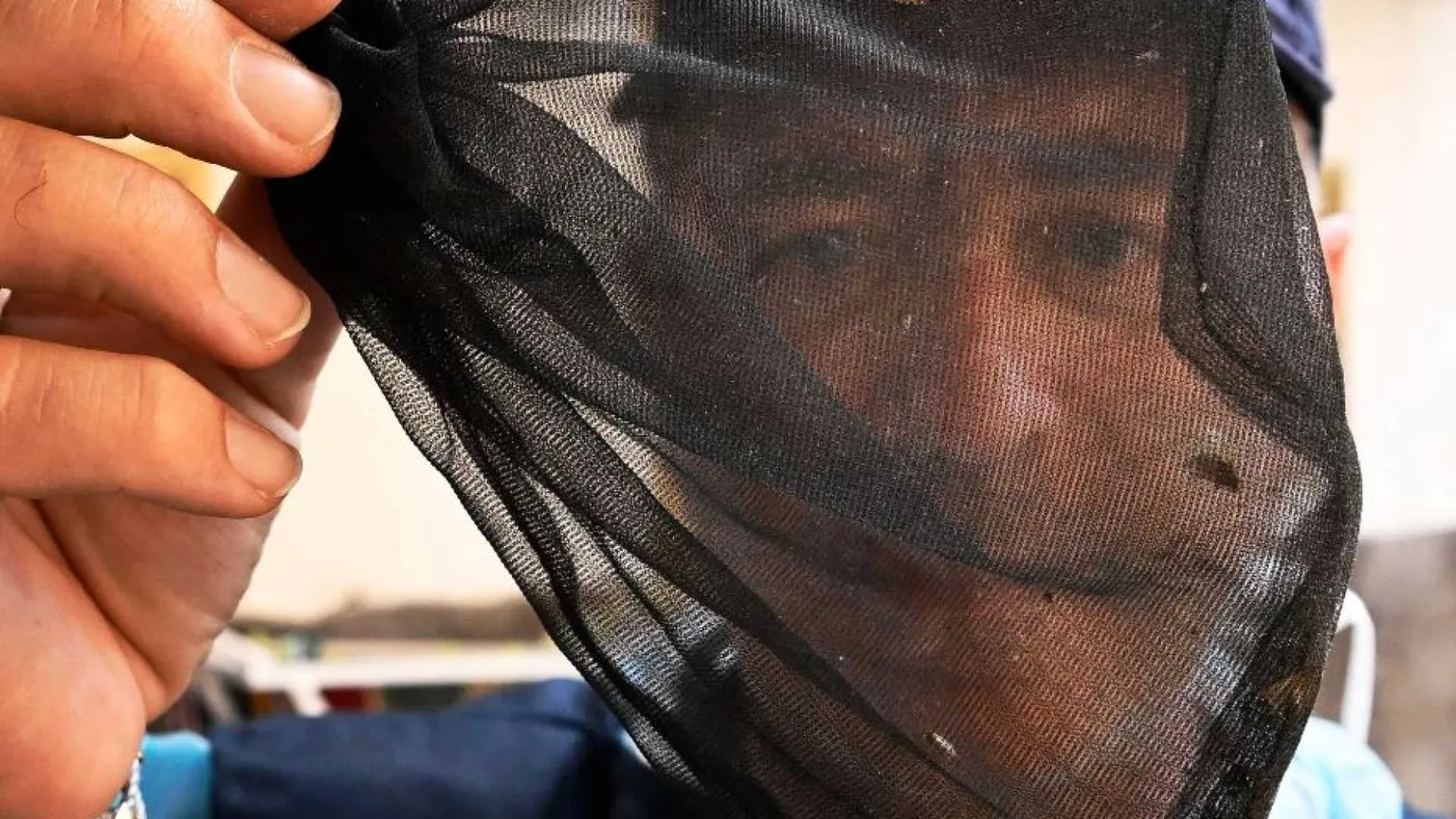 Virus West Nile, i morti sono nove. Come si manifesta e quando è pericoloso