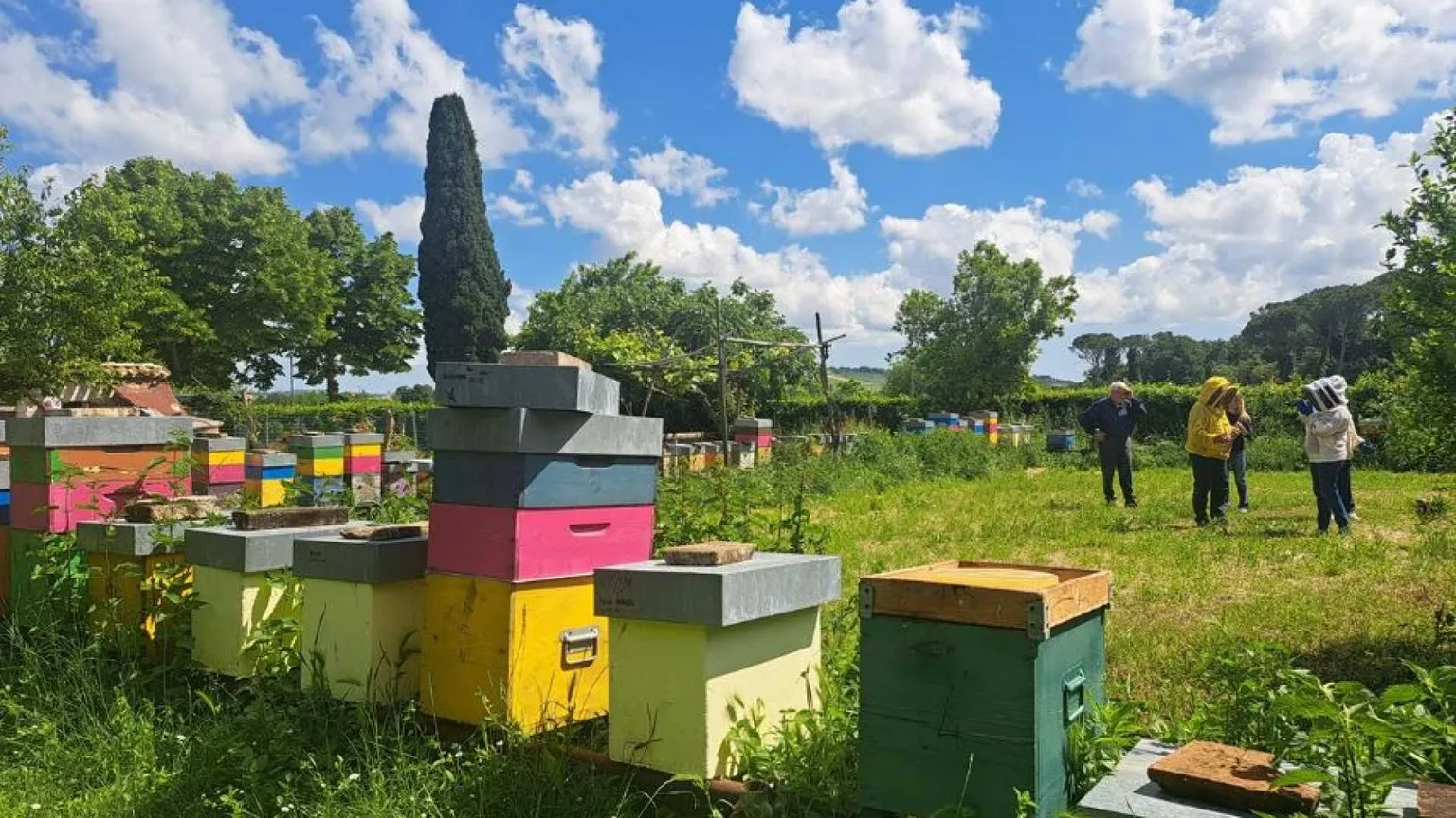 Macerata, in viaggio seguendo il ronzio delle api