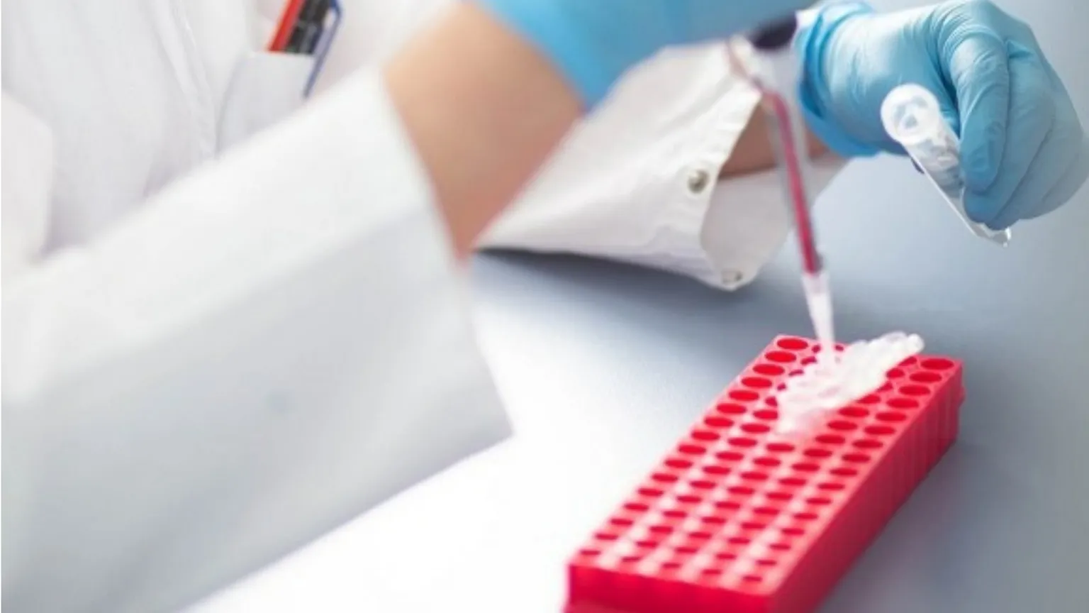 Medicina rigenerativa, Italia e Giappone alleate per le staminali del futuro