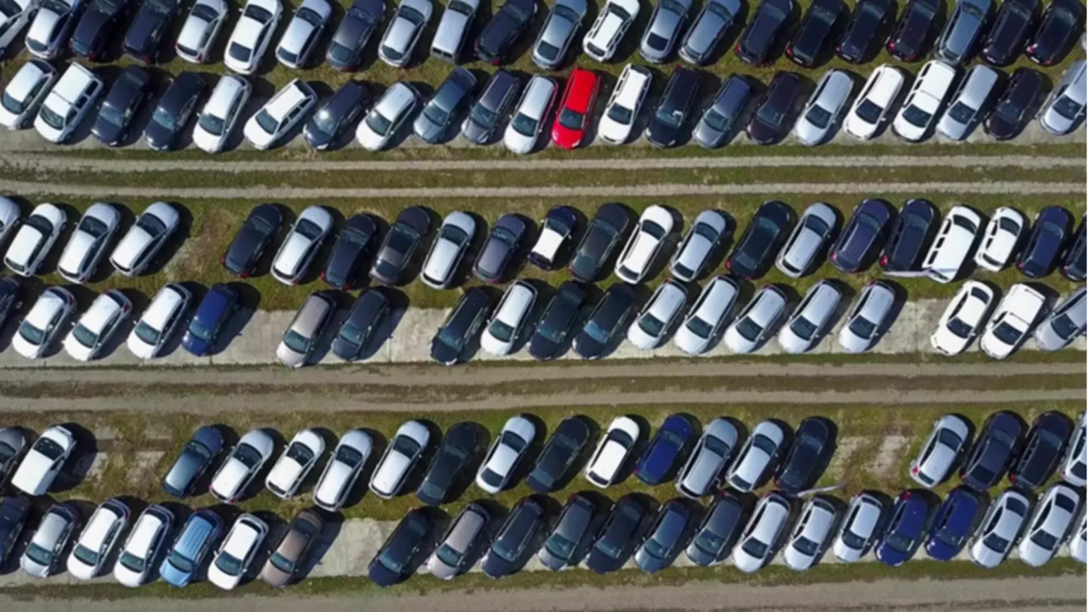 Automobili parcheggiate di una flotta di noleggio a lungo termine