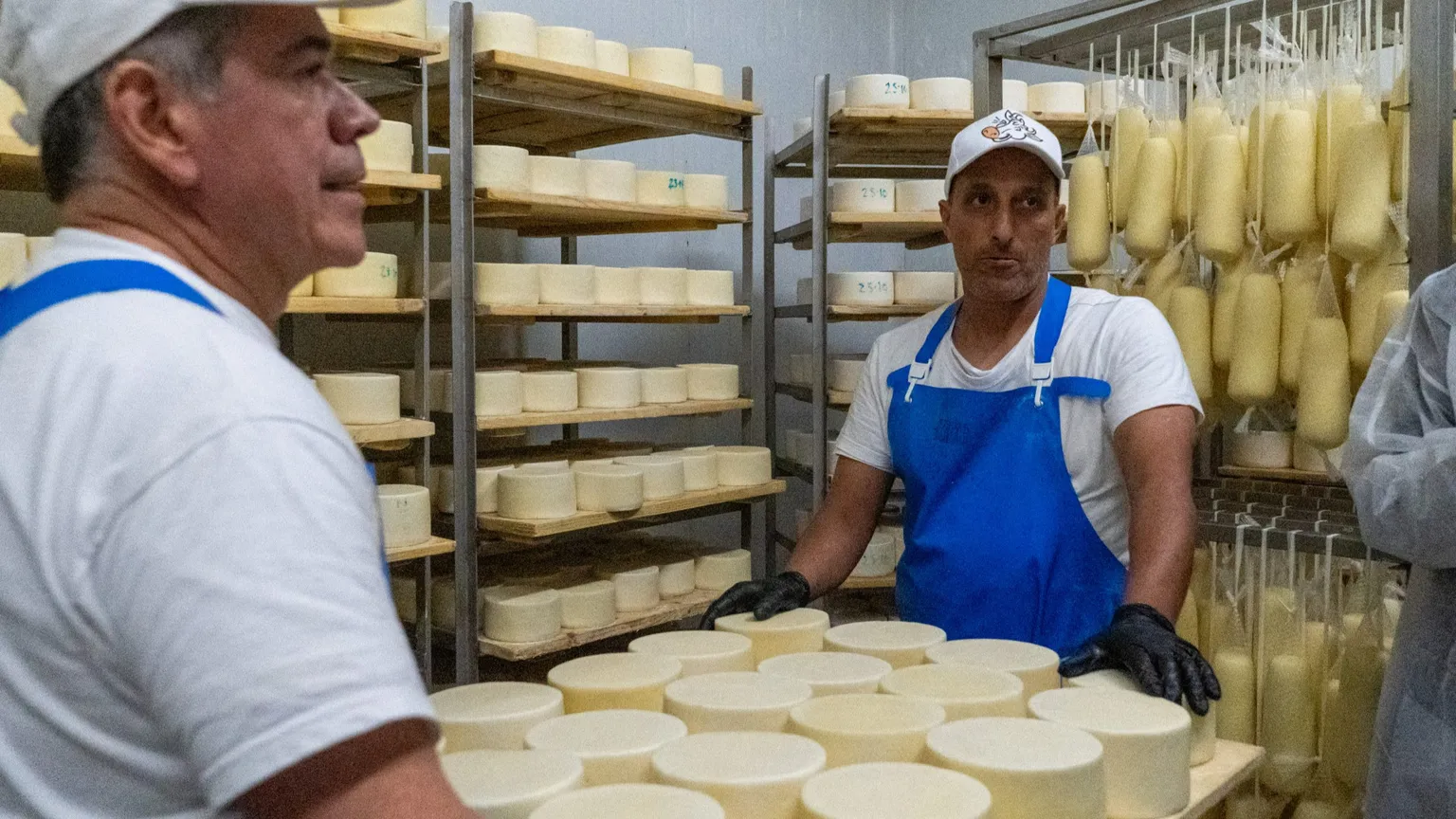 Latte Sano brucia le tappe sugli obblighi Ue: dal 2026 una confezione "vegetale"