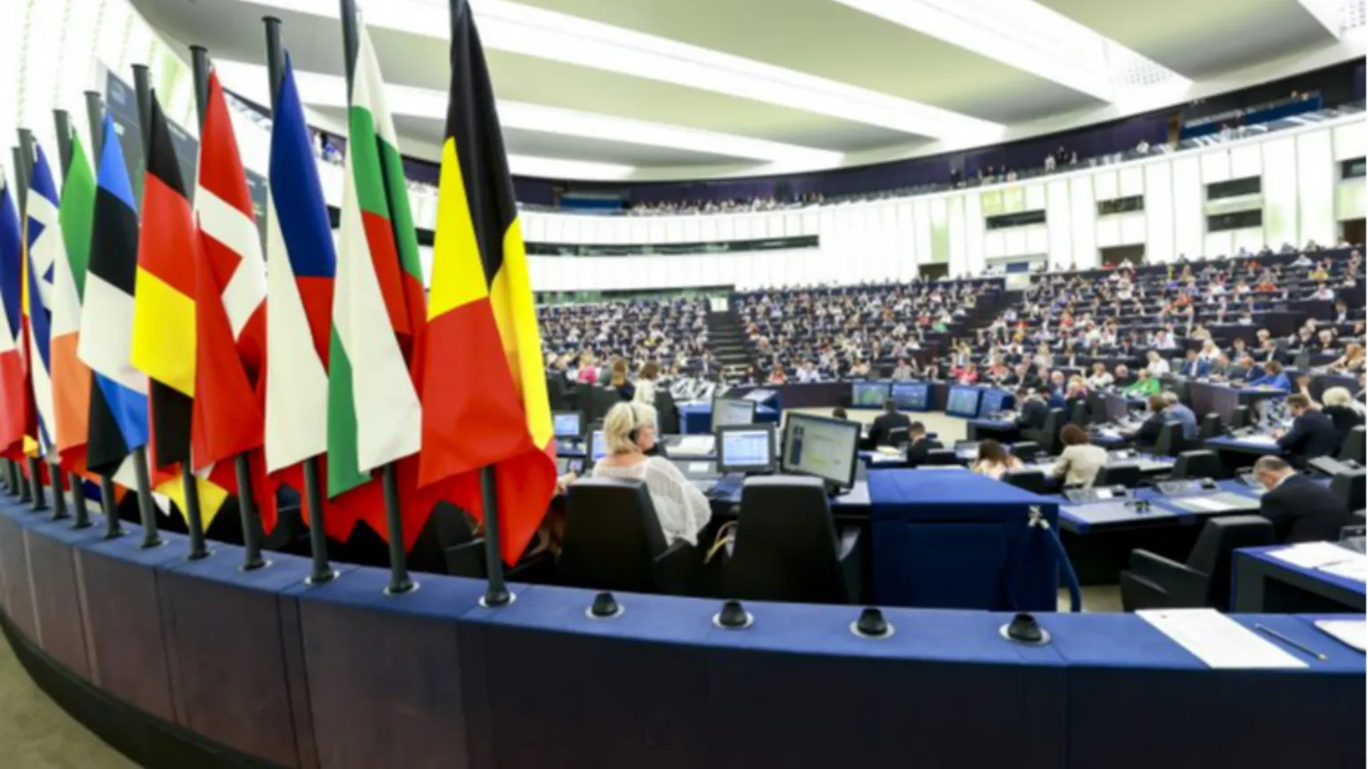 Il Parlamento europeo condanna la maternità surrogata
