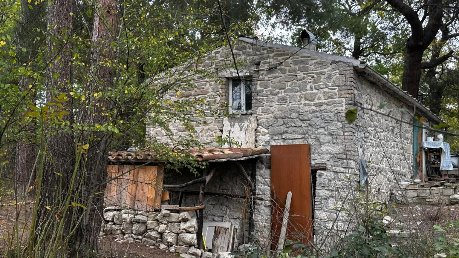 Relazioni, referti, giudici: tutti contro tutti sulla famiglia nel bosco
