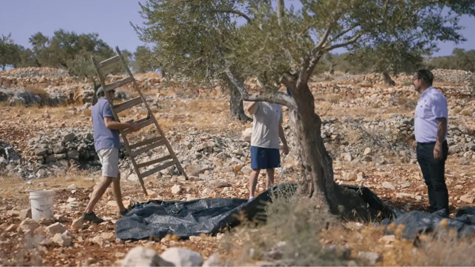 A Taybeh, dove i cristiani lottano per sopravvivere