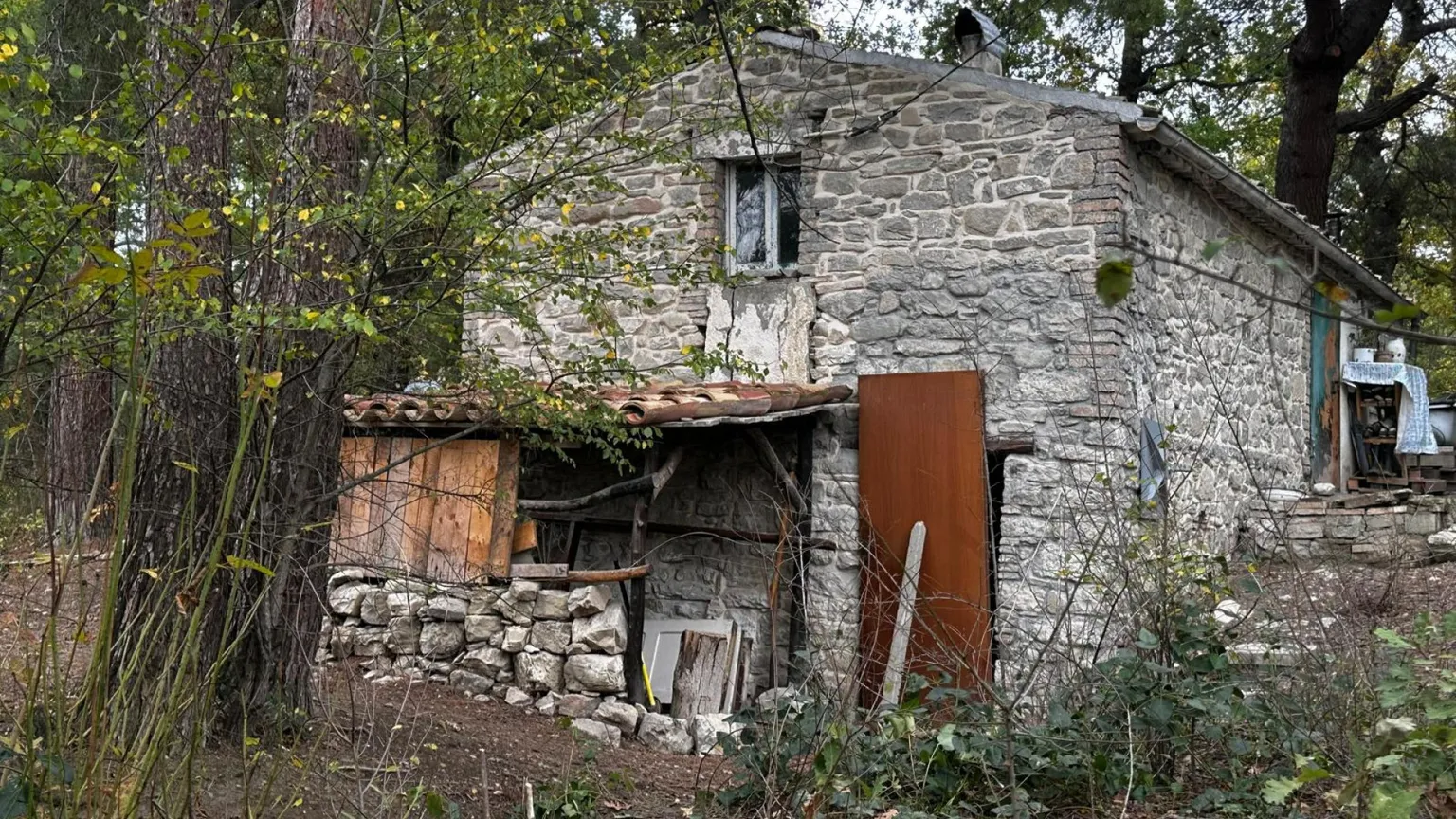 Libertà o controllo? I bambini del bosco che dividono l’Italia