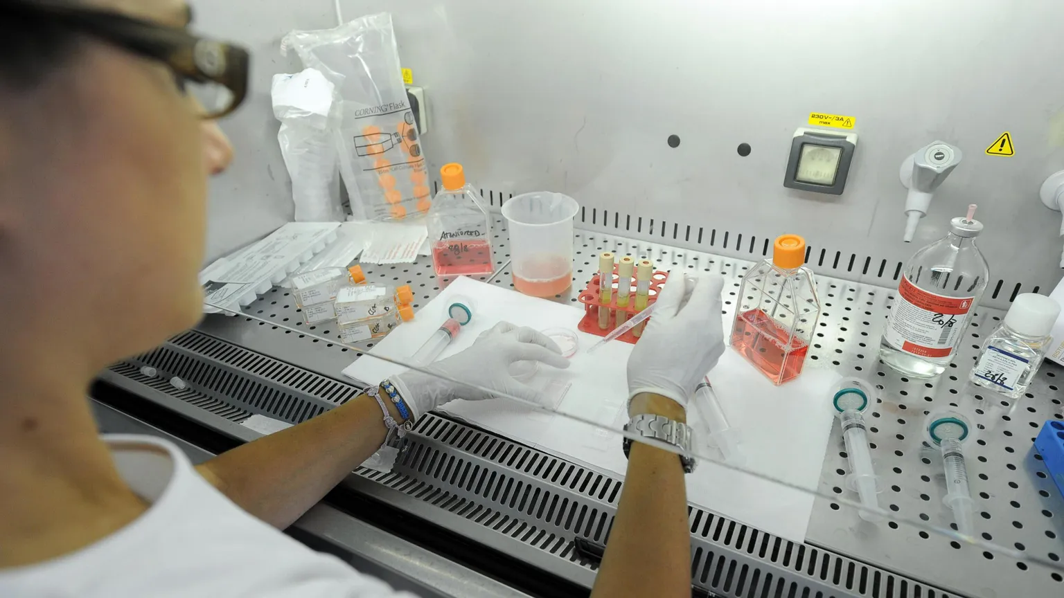 Screening genetici
alla nascita: una sfida
scientifica ed etica