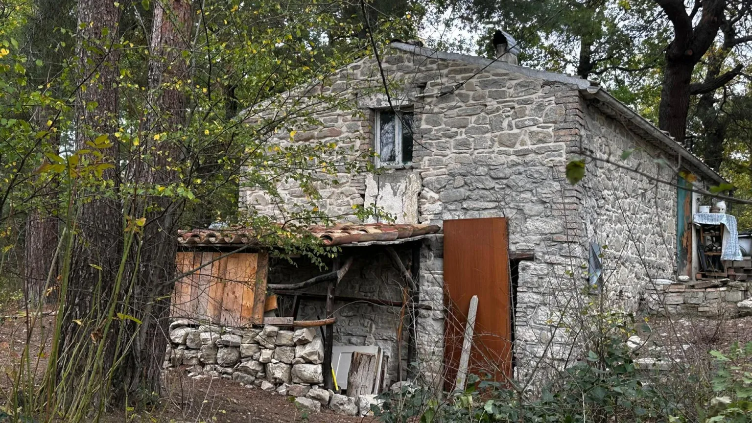 I tre bambini della famiglia nel bosco per ora restano in comunità