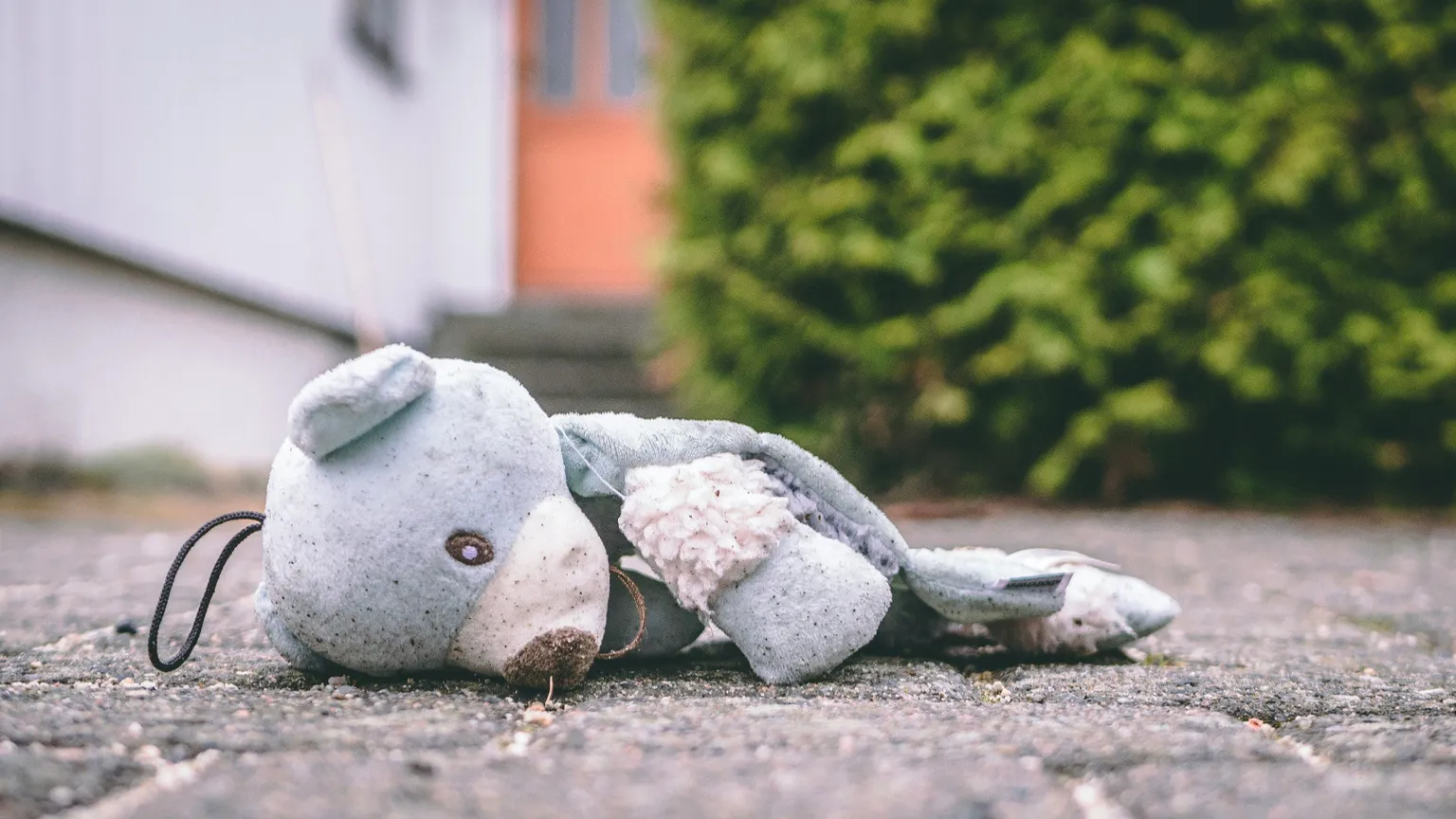 Non c'è solo la famiglia nel bosco: migliaia di bimbi faranno Natale lontano da casa
