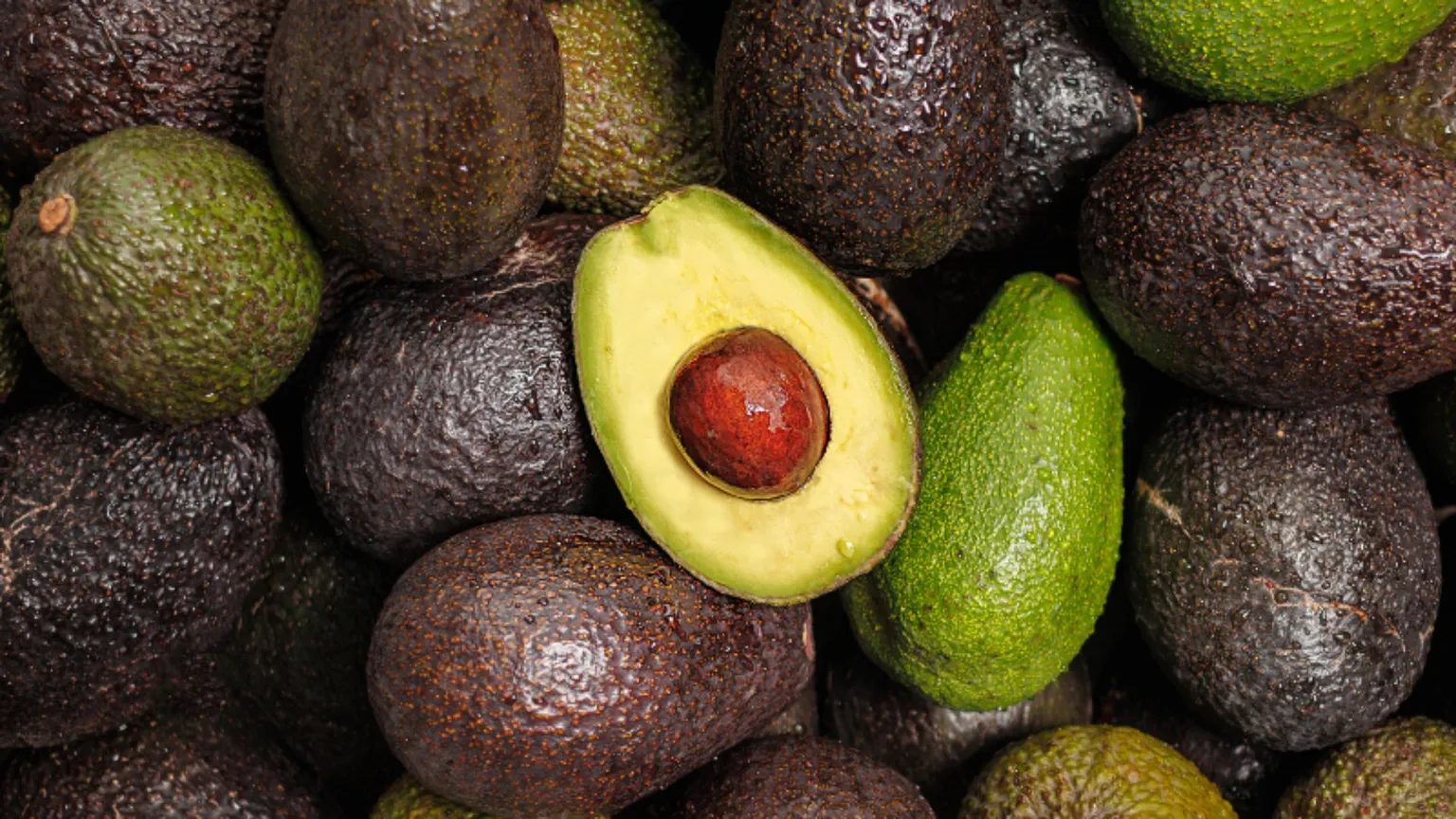 L’avocado del diavolo