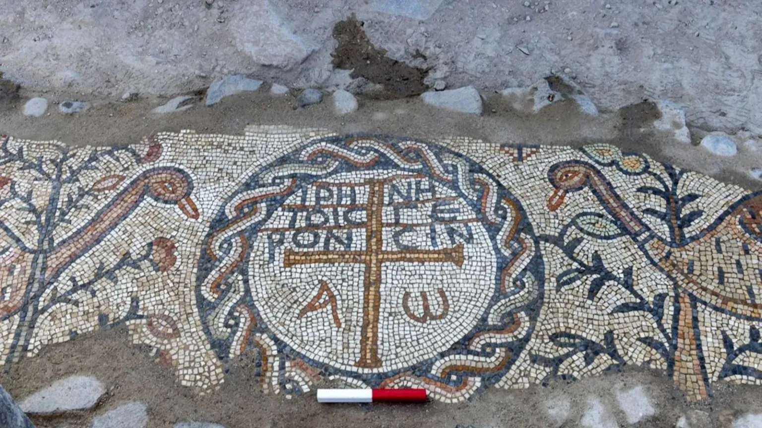 "Pace agli anziani": trovata la prima RSA della storia