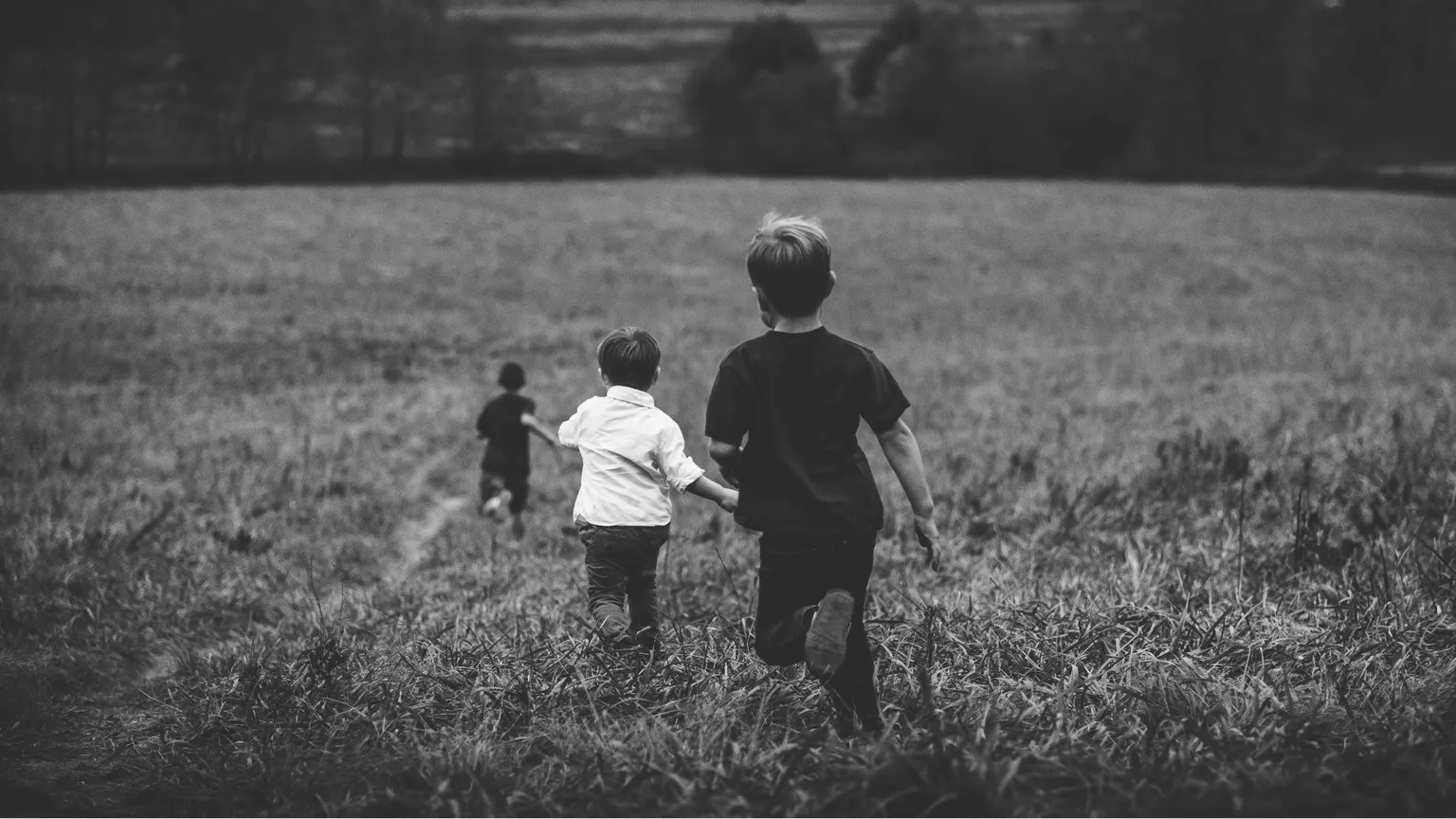 Il Novecento delle piccole cose di Raffaele Simone