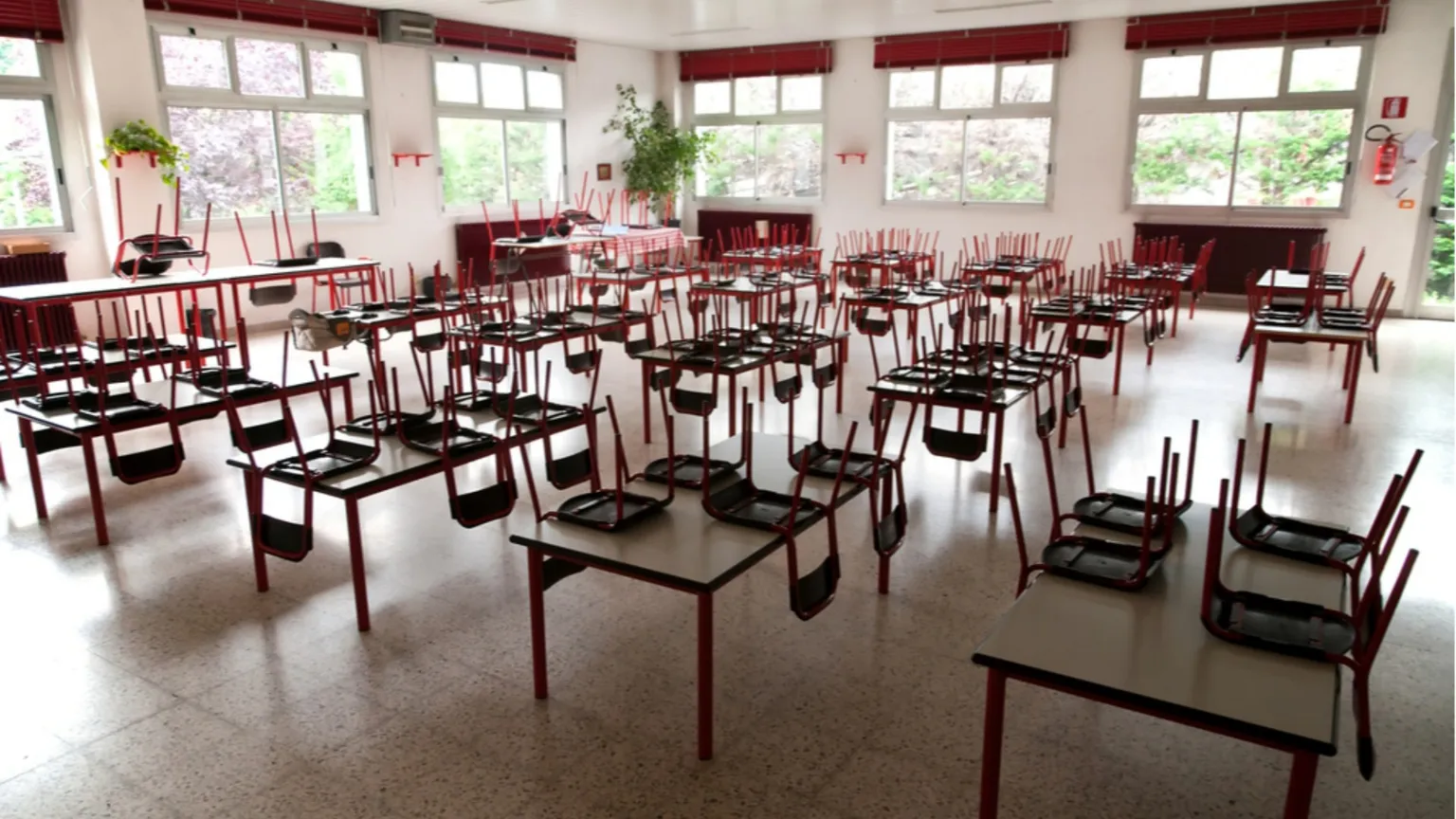 Pagelle per i figli, ansia per i genitori